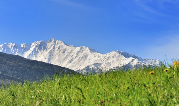 Paysage de printemps en montagne