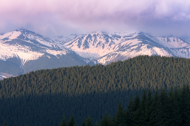 Paysage de printemps avec des pics de neige dans les montagnes