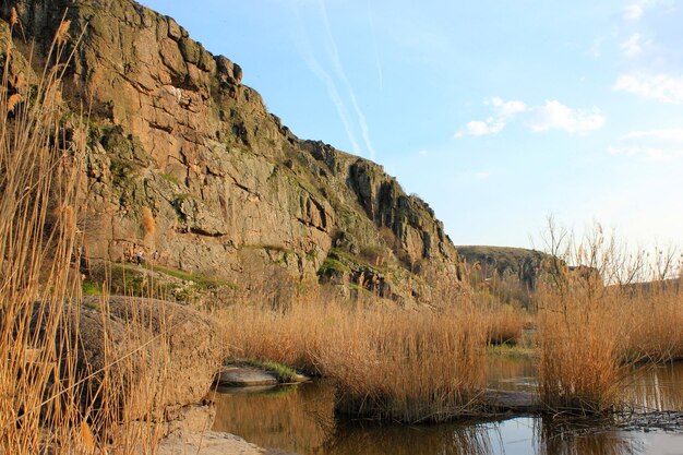 Paysage de printemps avec des pierres de rivière et des arbres