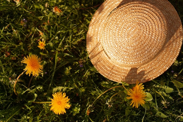 Paysage de printemps avec des pissenlits. Prairie fleurie jaune. Fond naturel. Jardin avec chapeau de paille. Fleurs.