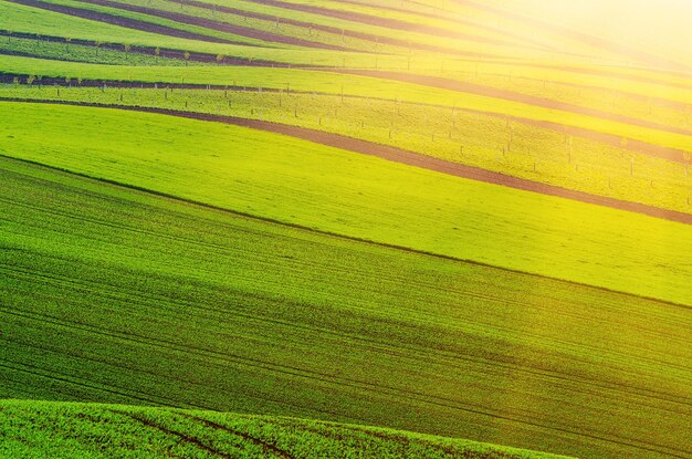 Paysage de printemps rural