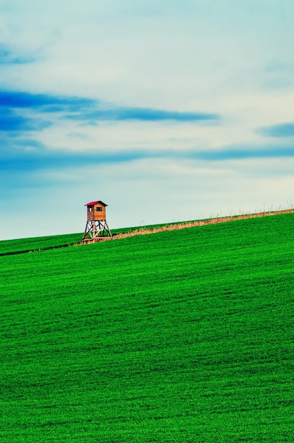 Paysage de printemps rural