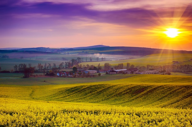 Paysage de printemps rural