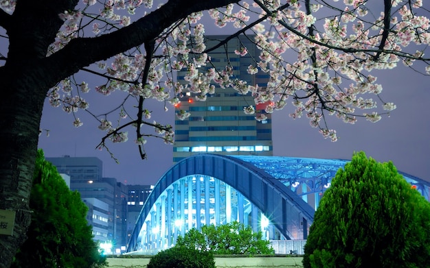 Paysage de printemps de Tokyo