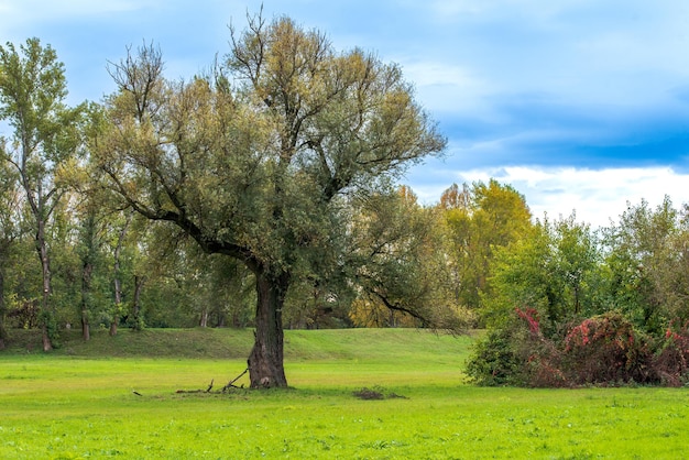 Paysage de printemps