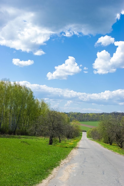 Paysage de printemps