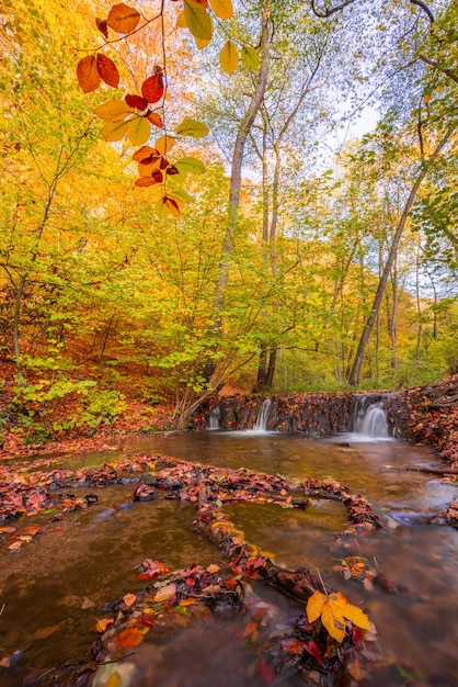 Paysage de randonnée idyllique, belle nature d'automne saisonnière. Couleurs scéniques de rêve incroyables