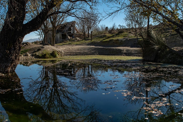 Paysage avec reflets dans l'étang d'eau