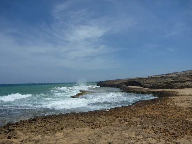 paysage de rivage de palmiers et ciel bleu profond