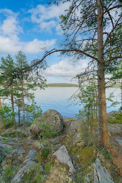 Paysage rive rocheuse du lac un jour d'été