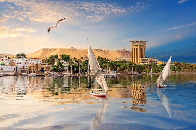 Photo paysage de la rivière assouan, belle vue sur le nil, egypte.