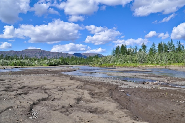 Paysage de la rivière avec des bancs de sable