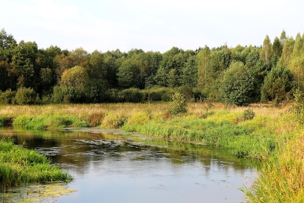 Paysage avec rivière et cerf au loin