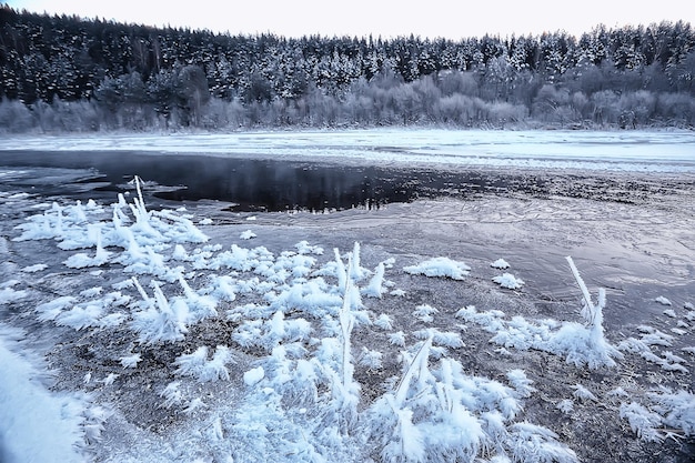 Paysage Rivière Hiver Vue Saisonnière Eau Neige Forêt