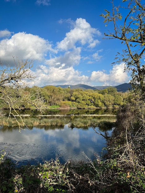 paysage avec une rivière et des montagnes au loin