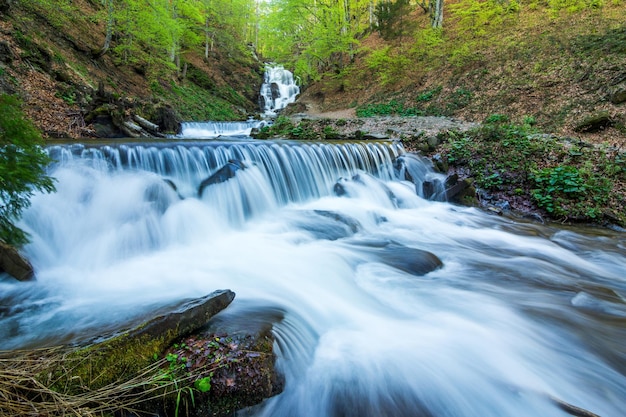 Paysage de rivière de printemps Flux rapide dans une forêt de montagne au printemps