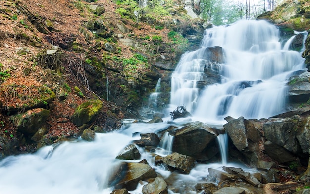 Paysage de rivière de printemps Flux rapide dans une forêt de montagne au printemps