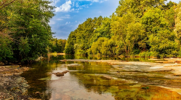 Paysage d'une rivière avec des rapides au milieu d'une forêt