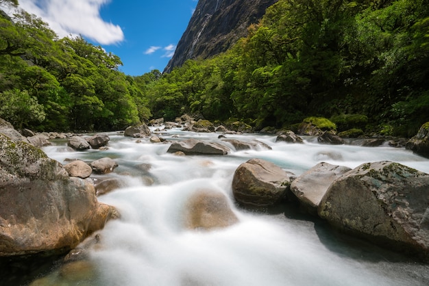Paysage de rivière rocheuse dans la forêt tropicale de Milford Sound, Nouvelle-Zélande
