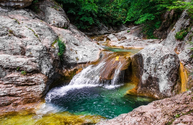 Paysage de rivières de montagne dans la forêt