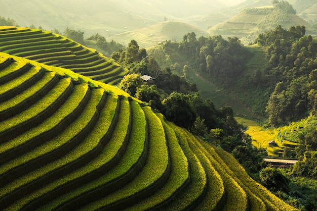 Paysage de rizière en terrasses de Mu Cang Chai, Yenbai, Nord du Vietnam