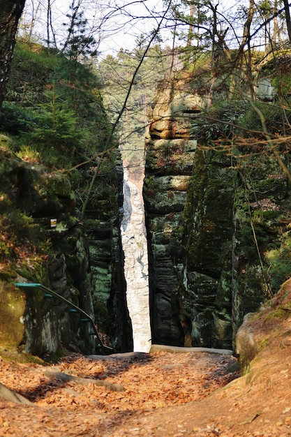 Paysage avec des rochers de grès