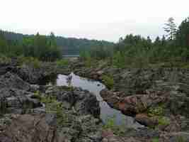 Photo un paysage rocheux avec des arbres et des rochers au premier plan suna river poor porog waterfall girvas