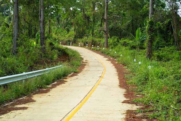 Paysage de route de campagne en ThaïlandeVoyage du voyageur par les routes
