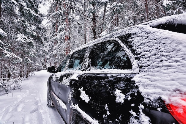 paysage de route d'hiver, belle vue sur une route enneigée