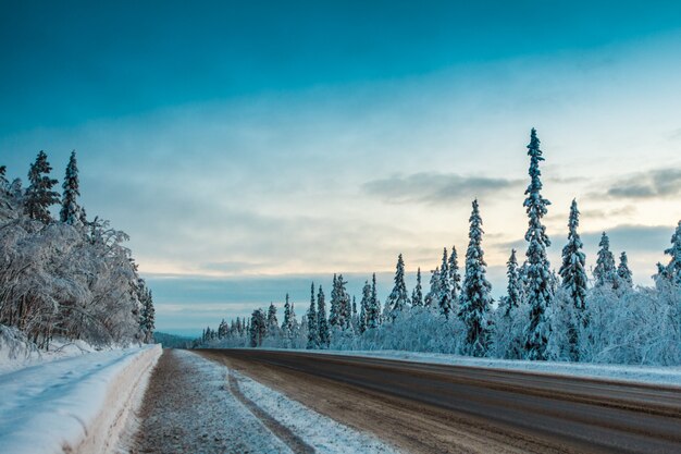 paysage avec route d'hiver