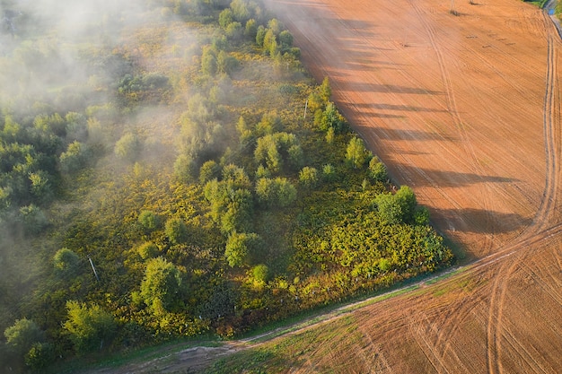 Paysage rural au-dessus des nuages au lever du soleil avec parc et champ