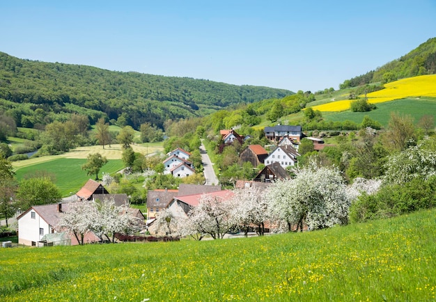 paysage rural au printemps