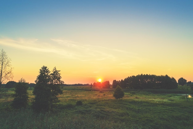 Paysage rural avec le beau ciel du soir Prairie verte en été