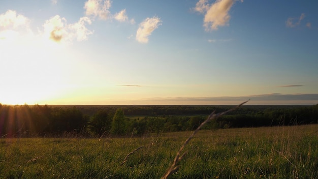 Paysage rural. Un beau coucher de soleil sur une colline et une forêt qui s'étend jusqu'à l'horizon. Léningrad