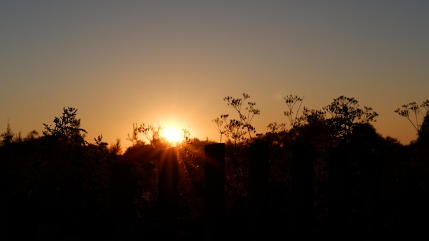 Paysage rural avec champ au coucher du soleil et village en arrière-plan Région de Vologda