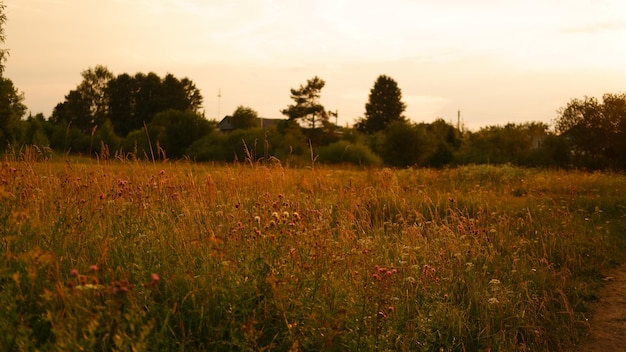 Paysage rural avec champ au coucher du soleil et village en arrière-plan région de vologda