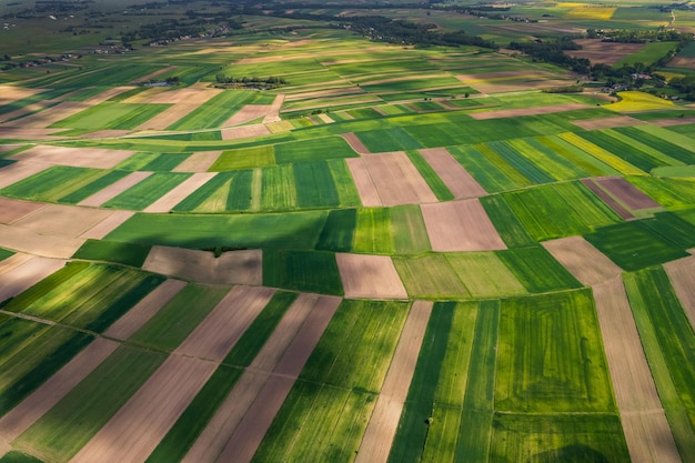 Paysage rural coloré au printemps Agriculture Crop PatternDrone View