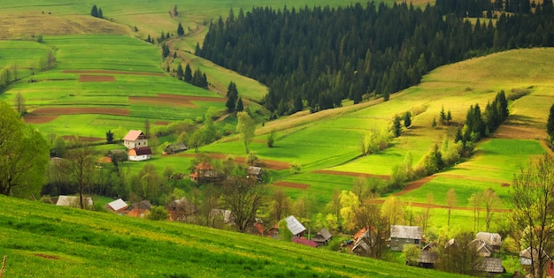 Paysage rural dans les montagnes des Carpates