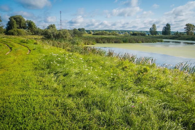 Paysage rural d'été avec rivière et fond de ciel bleu.