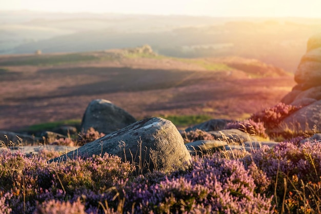 Paysage rural habituel de l'Angleterre dans le Yorkshire Vue imprenable sur le parc national Peak District