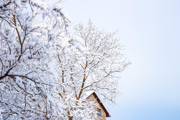 Paysage rural d'hiver Arbres couverts de neige et le toit de la maison contre le ciel