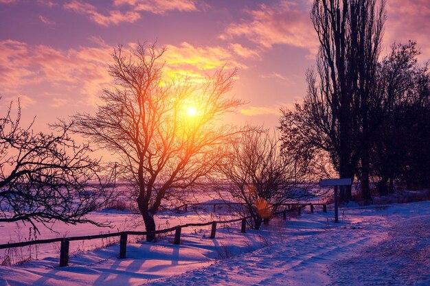 Paysage rural d'hiver au coucher du soleil