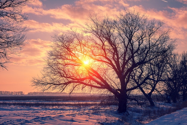 Photo paysage rural d'hiver au coucher du soleil