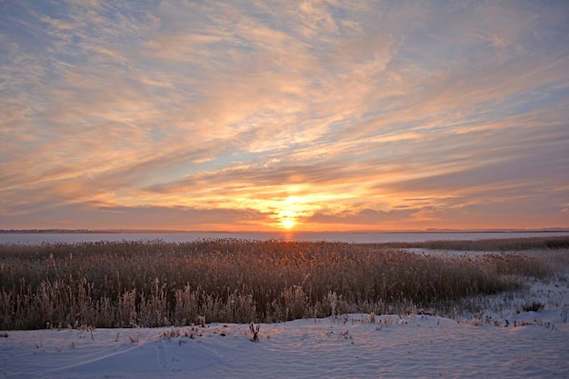 Paysage rural d&#39;hiver. Lac en hiver.