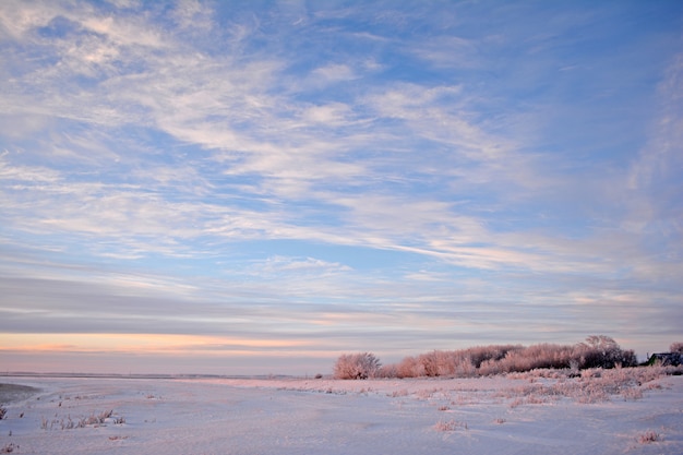 Photo paysage rural d'hiver
