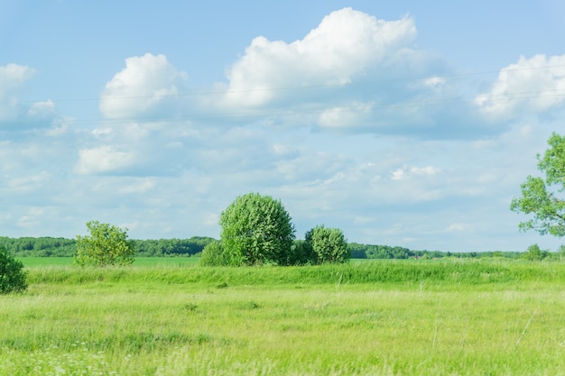 Paysage rural en journée ensoleillée d'été.