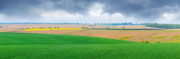 Paysage rural avec un large champ vert et un drame nuageux