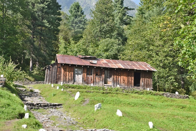 Paysage rural avec une maison en bois et une nature verdoyante