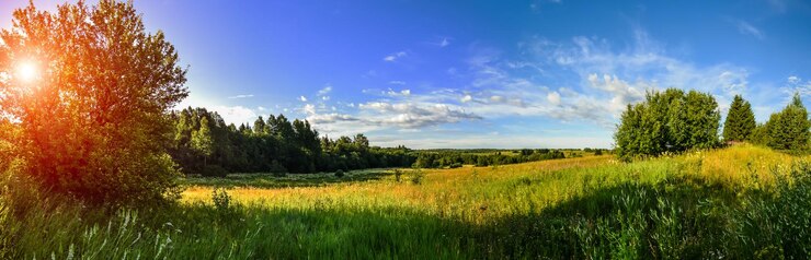 Photo paysage rural panorama écologie forêt et champ matin