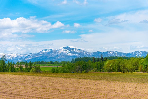 Paysage rural panoramique avec des montagnes Vaste ciel bleu et nuages blancs sur les champs agricoles